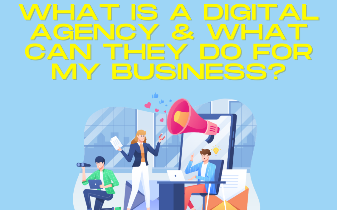 What is a Digital Agency & What Can They Do For My Business?